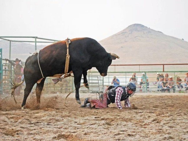 ������������ ���������