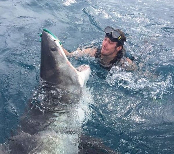 ������������ ���������