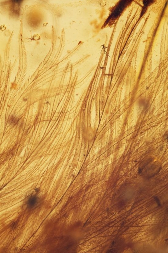 � ������ ����� ����� ���������, ������� 99 ��������� ��� �����