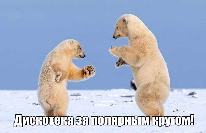 Прикольные картинки