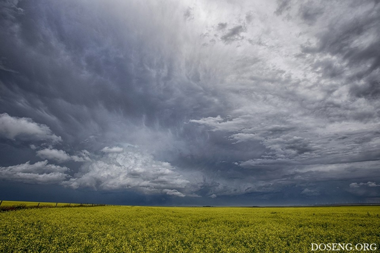 ���� � ������� �� ������� ������ �����