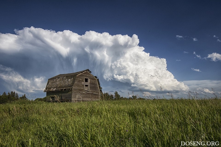 ���� � ������� �� ������� ������ �����