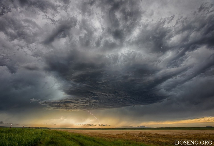 ���� � ������� �� ������� ������ �����