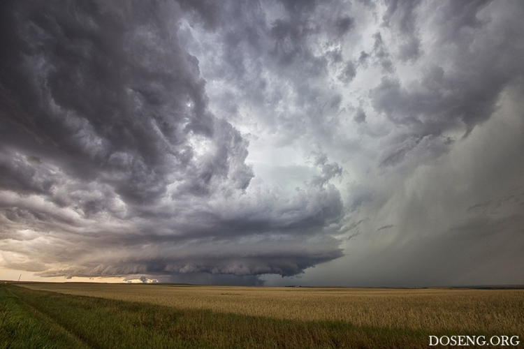 ���� � ������� �� ������� ������ �����