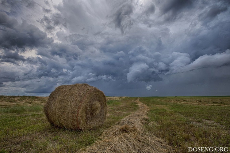 ���� � ������� �� ������� ������ �����