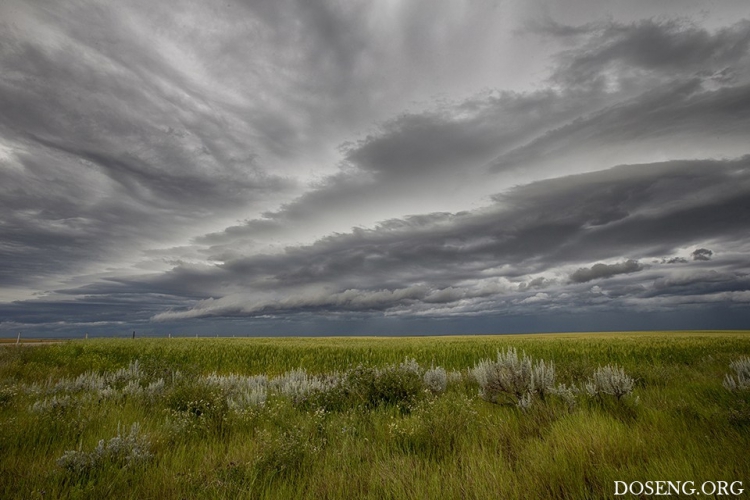 ���� � ������� �� ������� ������ �����