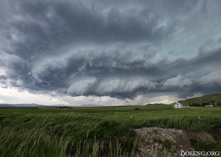 ���� � ������� �� ������� ������ �����