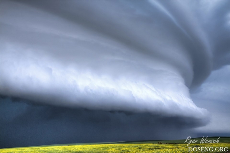 ���� � ������� �� ������� ������ �����