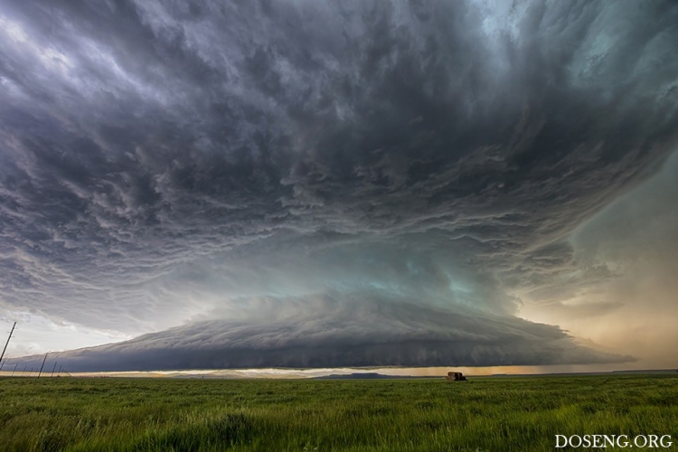 ���� � ������� �� ������� ������ �����