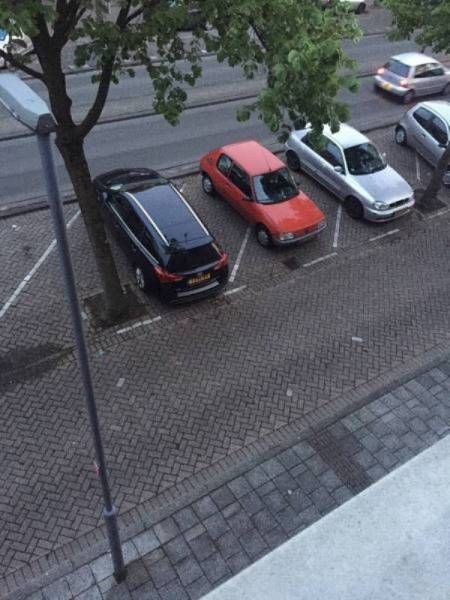 �������� ���������� ���� �1638 (105 ����)