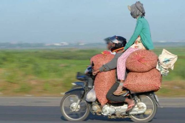 �������� ���������� ���� �1638 (105 ����)