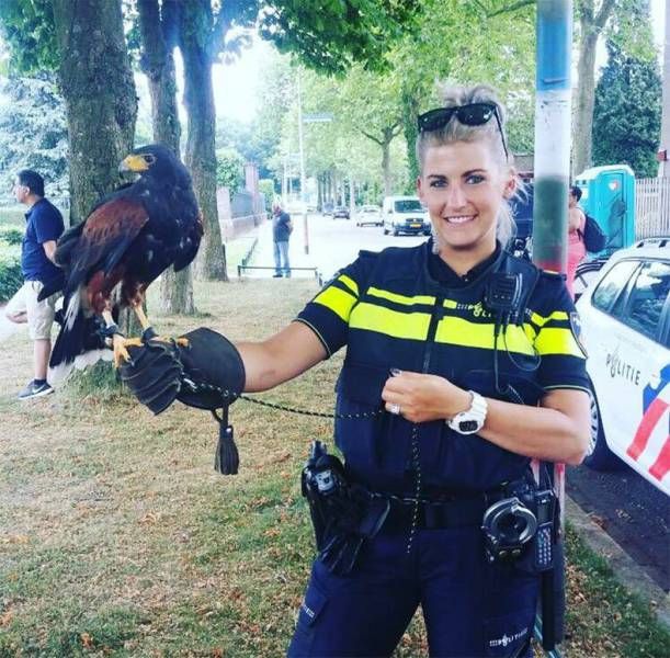 �������� ���������� ���� �1638 (105 ����)