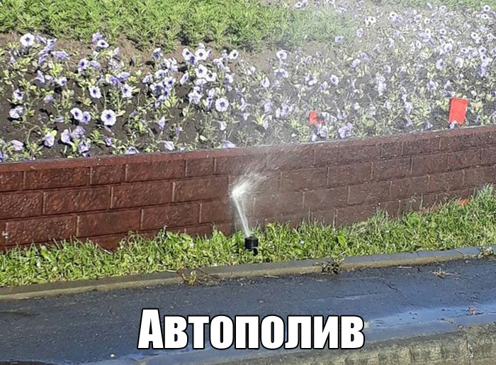 �������� ���������� ���� �1638 (105 ����)