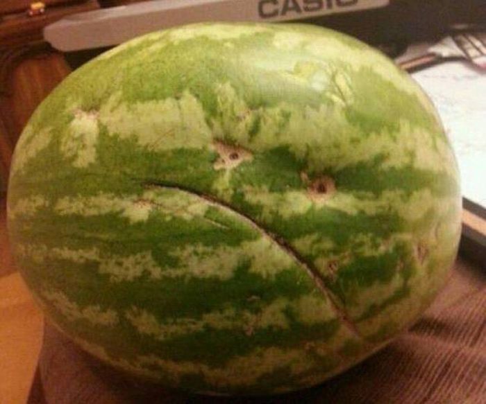 �������� ���������� ���� �1638 (105 ����)