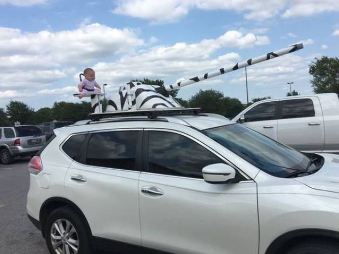 �������� ���������� ���� �1638 (105 ����)