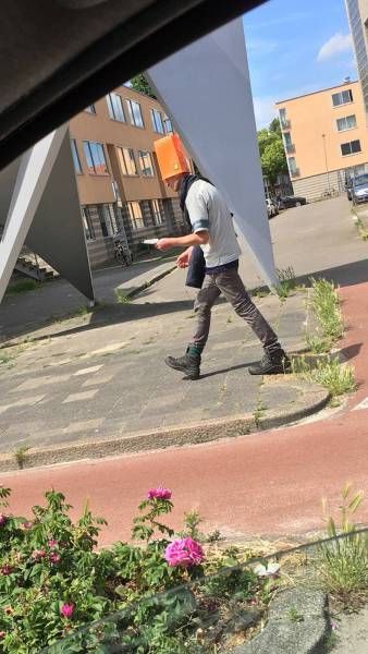 �������� ���������� ���� �1638 (105 ����)