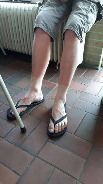 �������� ���������� ���� �1638 (105 ����)