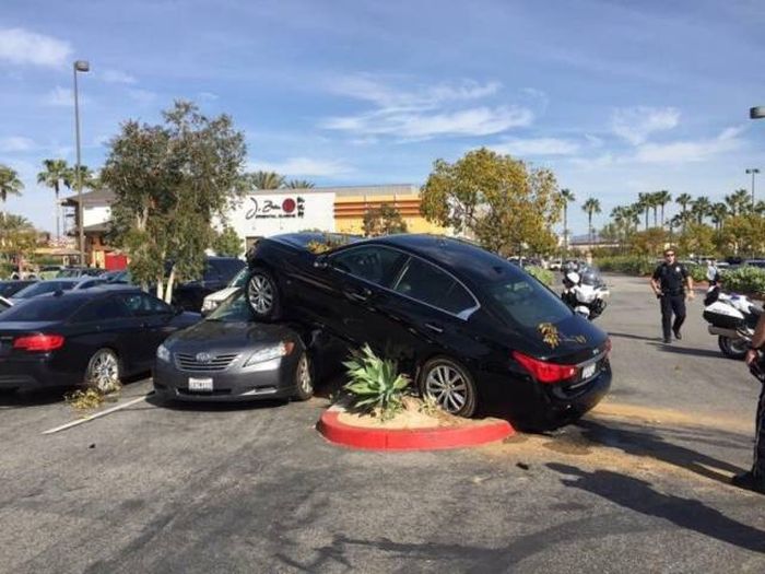 �������� ���������� ���� �1638 (105 ����)