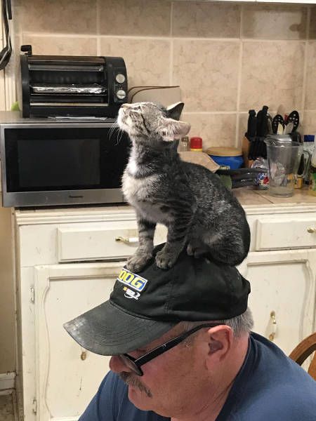 �������� ���������� ���� �1638 (105 ����)