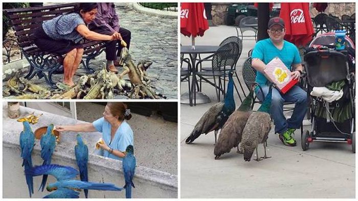 �������� ���������� ���� �1638 (105 ����)