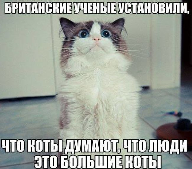 �������� ���������� ���� �1638 (105 ����)