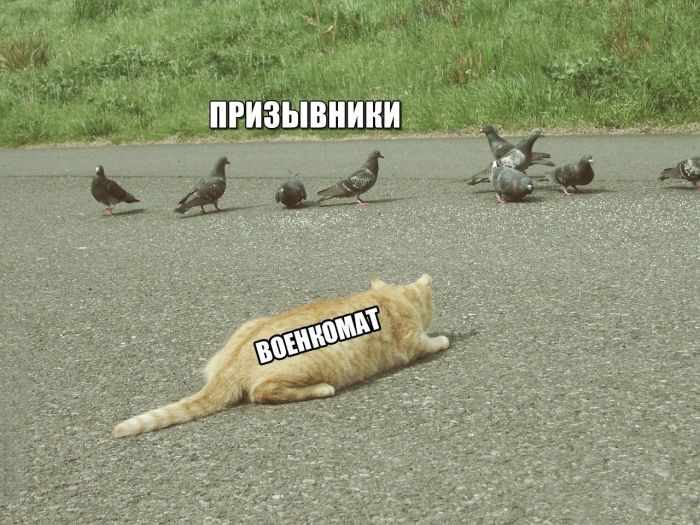 �������� ���������� ���� �1638 (105 ����)