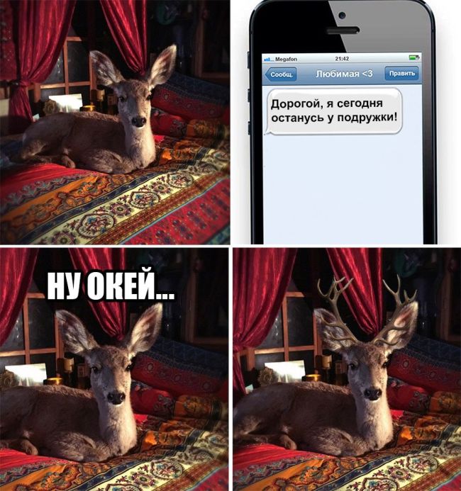 �������� ���������� ���� �1638 (105 ����)