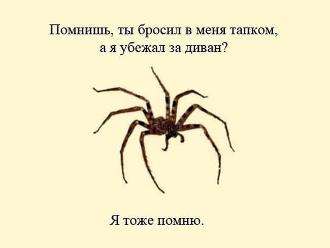 �������� ���������� ���� �1638 (105 ����)