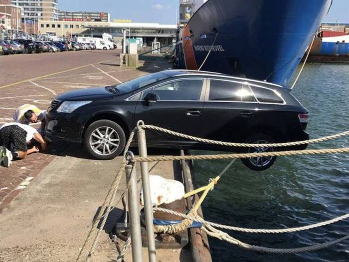 �������� ���������� ���� �1638 (105 ����)