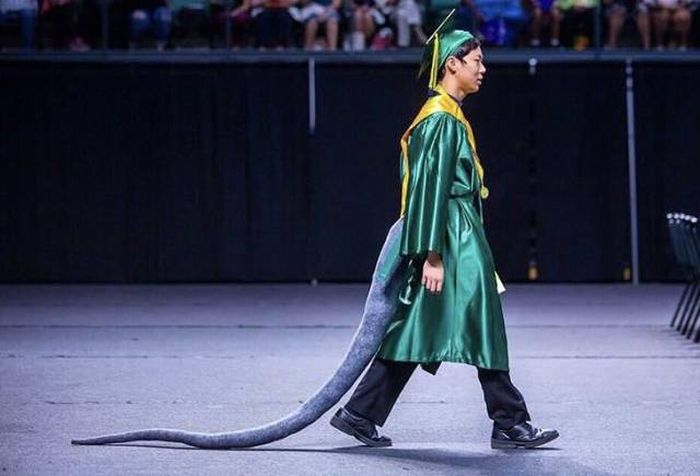 �������� ���������� ���� �1638 (105 ����)