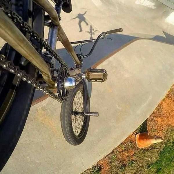 �������� ���������� ���� �1638 (105 ����)