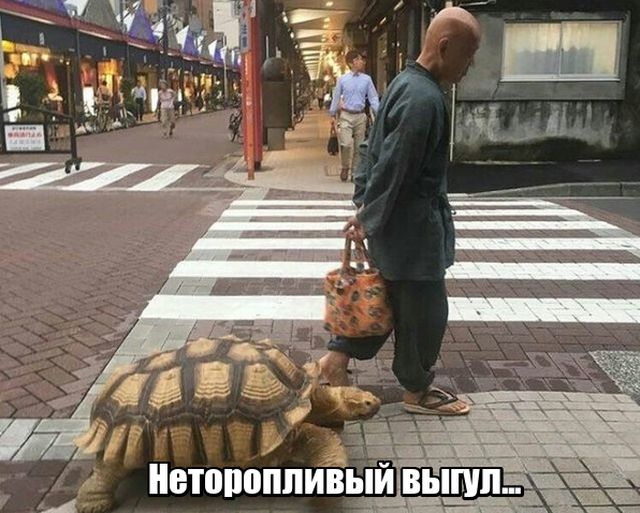 Подборка прикольных фото №1736 (104 фото)