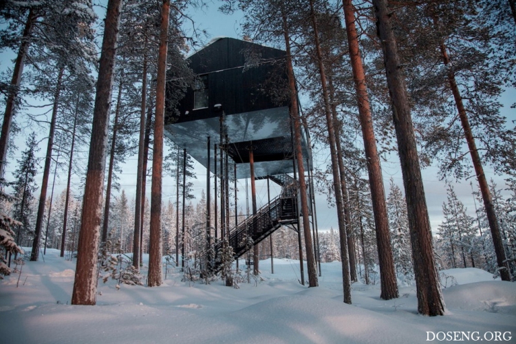 �������� ����������� �� ������ � ������