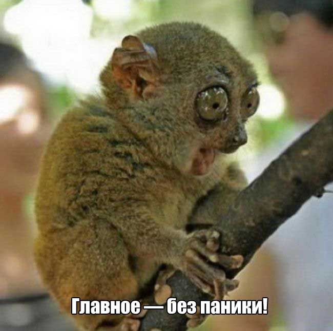 ����� ������ �������� �������� � ����� (27 ����)