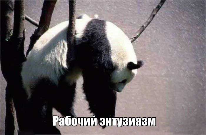 ����� ������ �������� �������� � ����� (27 ����)