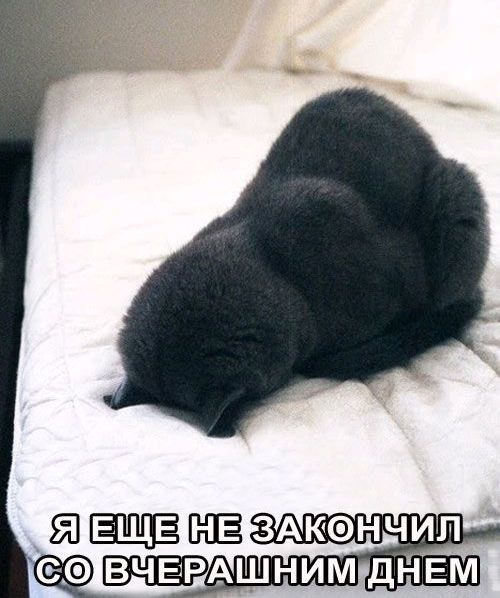 ����� ������ �������� �������� � ����� (27 ����)