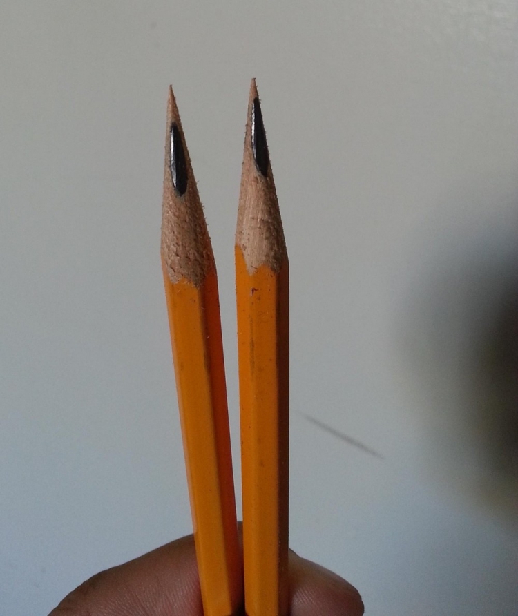 ������������ ���������