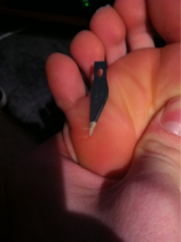 ������������ ���������