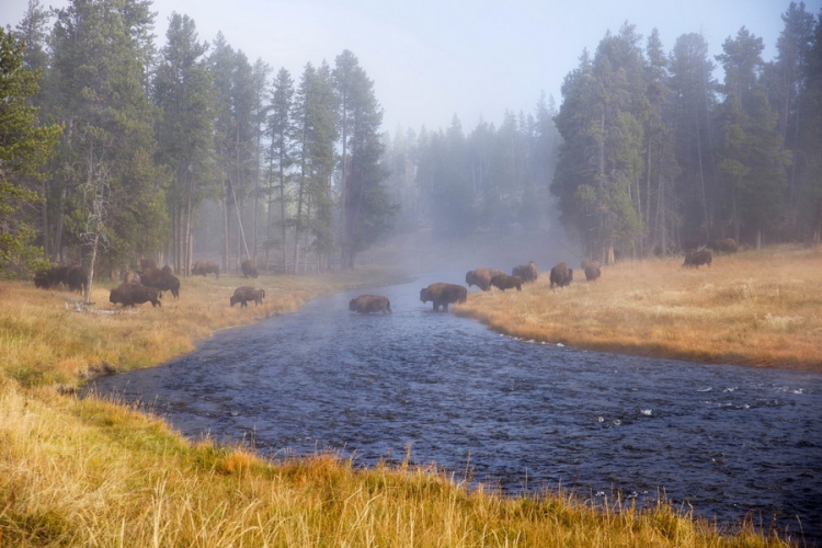 ������������