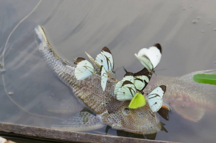 ������������