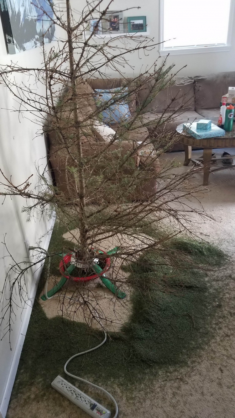 ������������