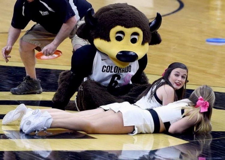 ������������