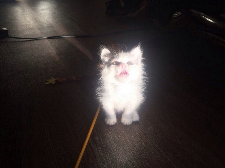 ������������