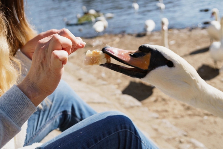 ������������