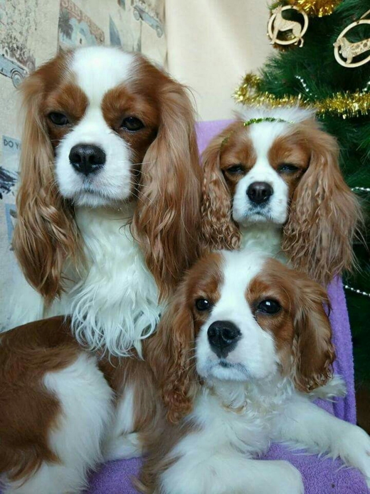 ������������