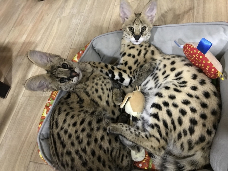 ������������