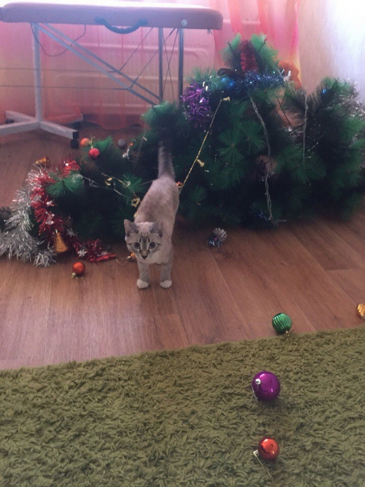 ������������