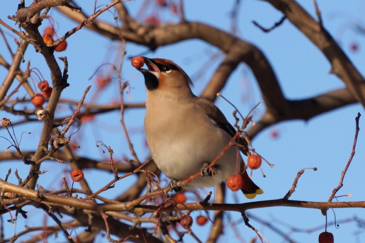 ������������