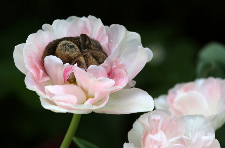 ������������