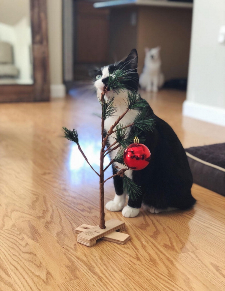 ������������